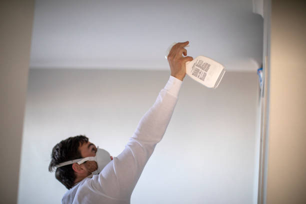 Best Best Mold Removal Companies  in Dallastown, PA